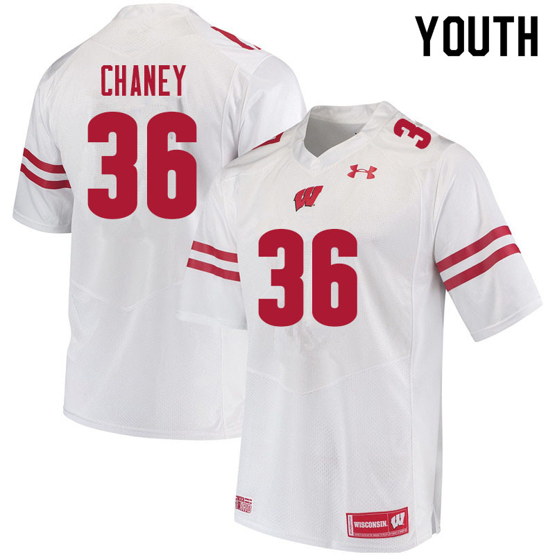 Wisconsin Badgers Youth #36 Jake Chaney NCAA Under Armour Authentic White College Stitched Football Jersey PM40G68QH
